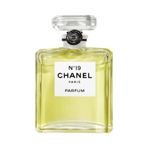 chanel 19 fragrance|where to buy chanel 19.